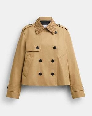 COACH Gabardina Corta Con Cuello De Firma - Neutro