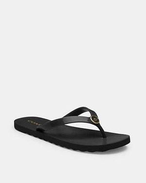 COACH Zayn Flip Flop - Black