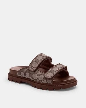 COACH Two Band Sport Slide - Brown