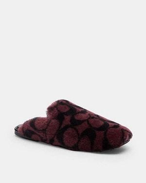 COACH Mule En Shearling Signature En Pour Femmes, Taille - Noir