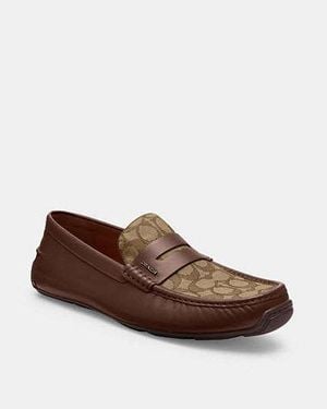 COACH Liam Driver - Brown