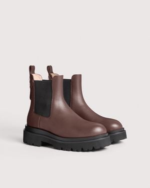 Coccinelle Stiefeletten Aus Glattleder - Braun