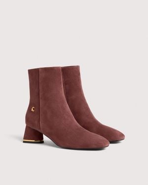 Coccinelle Stiefeletten Aus Wildleder C-Everyday - Braun
