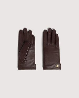 Coccinelle Leather Gloves C-Me - Multicolor