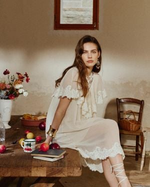 Fabrique Sophia Lace Embroidery Capelet Short Sleeve Dress - Brown