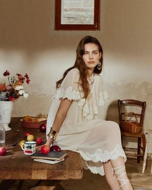 Fabrique Sophia Lace Embroidery Capelet Short Sleeve Dress - Brown