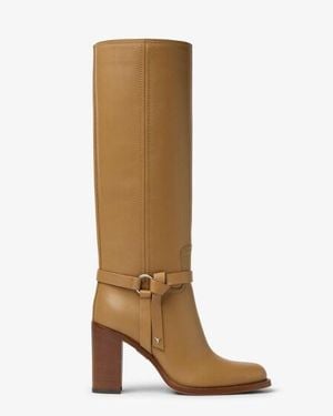Fendi Dressage - Brown