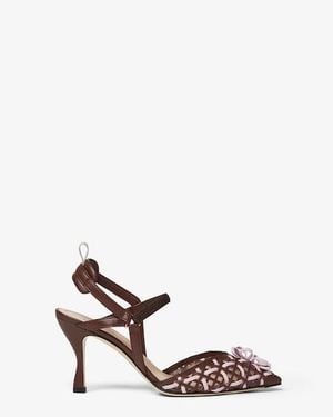 Fendi Colibrì Lite - Brown