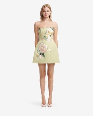 LEO LIN Roselle Embroidered Bustier Mini Dress - Natural