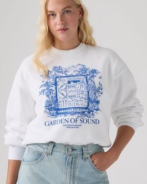 Levi's Graphic Everyday Crewneck Sweatshirt - Blauw