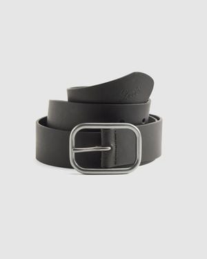 Levi's Luca Belt - Black