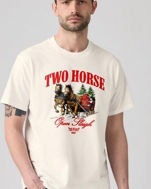 Levi's Relaxed Fit Graphic T Shirt - Meerkleurig