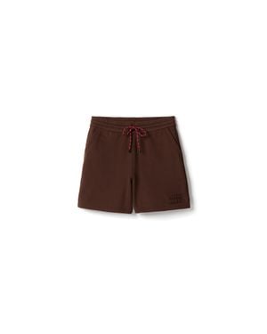 Miu Miu Cotton Fleece Shorts - Brown