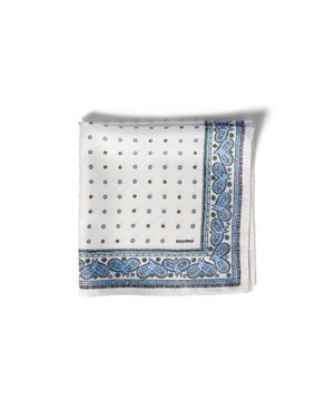 Miu Miu Printed Twill Scarf - Blue