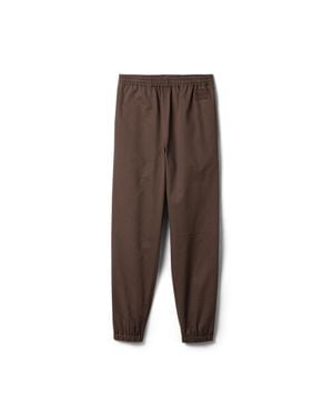 Miu Miu Washed Twill Joggers - Brown