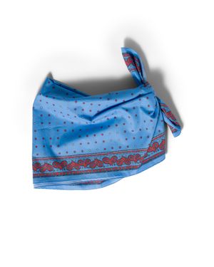 Miu Miu Printed Poplin Scarf - Blue