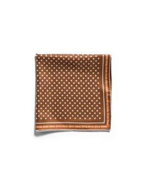 Miu Miu Printed Twill Scarf - Brown