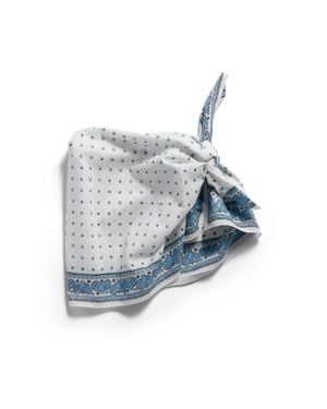 Miu Miu Printed Poplin Scarf - Blue