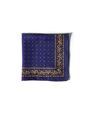 Miu Miu Printed Twill Scarf - Blue
