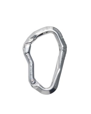 Moncler Moncler Carabiner - Metallic