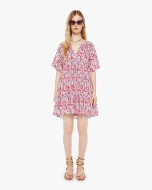 Xirena Louise Dress Cornflower - Pink