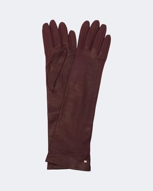Max Mara Leather Gloves - Purple