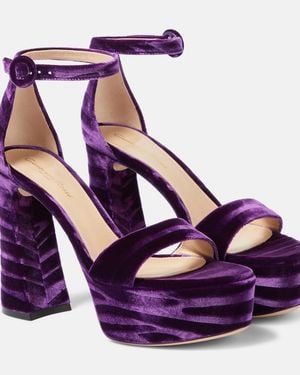 Gianvito Rossi Holly Velvet Platform Sandals - Purple