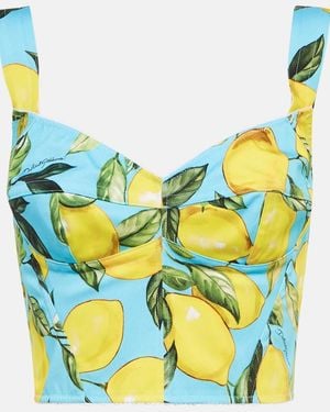 Dolce & Gabbana Printed Cotton-blend Bustier Top - Multicolour