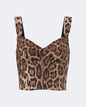 Dolce & Gabbana Leopard-Print Cotton-Blend Bustier Top - Brown