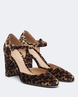 Gianvito Rossi Leopard-Print Velvet Pumps - Brown