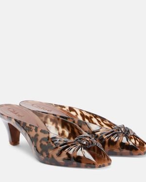 Chloé Mules Jelly - Marrone