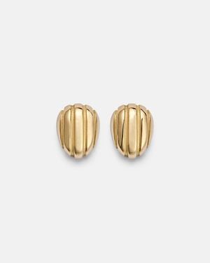 Pamela Zamore Eos 18Kt Earrings - White