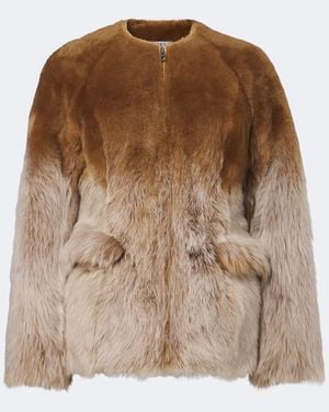 Loewe Calf Hair Jacket - Brown
