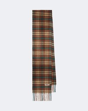 AURALEE Checked Fringed Cashmere Scarf - Brown