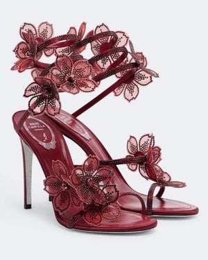 Rene Caovilla Verzierte Sandalen Floriane - Rot
