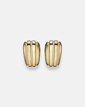 Pamela Zamore Orla Armour 18Kt Earrings - White
