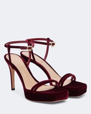 Gianvito Rossi Velvet Platform Sandals - Red