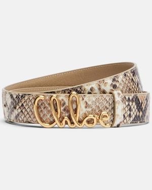Chloé Iconic Snake-Effect Leather Belt - Natural