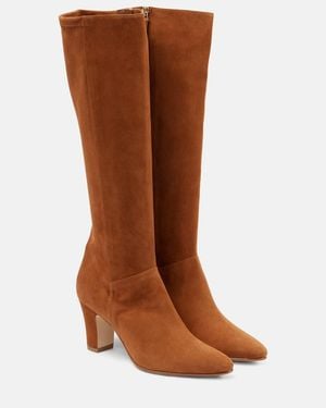 Manolo Blahnik Pitana Suede Knee-High Boots - Brown