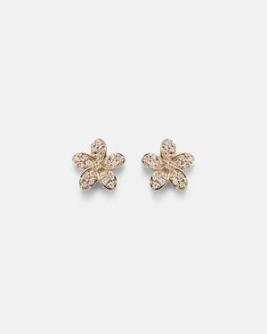 Sydney Evan Ohrringe Aus 14Kt Gelbgold Mit Diamanten - Weiß