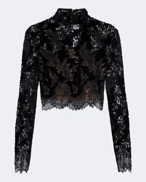 Costarellos Isaline Embellished Velvet And Lace Crop Top - Black