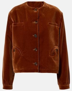 Blazé Milano Gliss Cotton Velvet Jacket - Brown