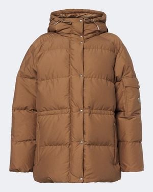 Moncler Piumino Himalaya - Marrone