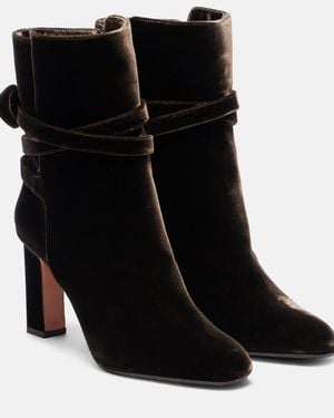 Aquazzura Ankle Boots Very Bow 85 Aus Samt - Schwarz