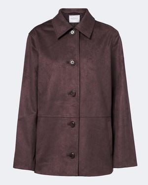 Velvet Wendolyn Jacket - Brown