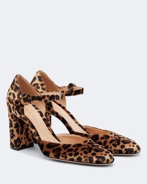 Gianvito Rossi Pumps Aus Samt - Braun