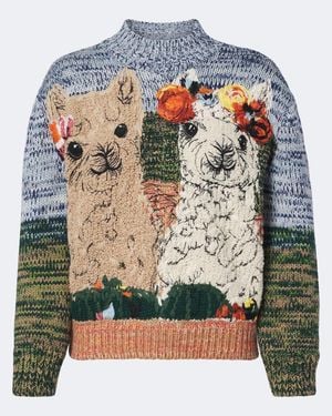 Stella McCartney Wool Jumper - Multicolour
