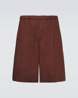 Plan C Cotton Shorts - Purple