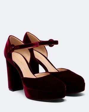 Gianvito Rossi Plateaupumps Aus Samt - Braun
