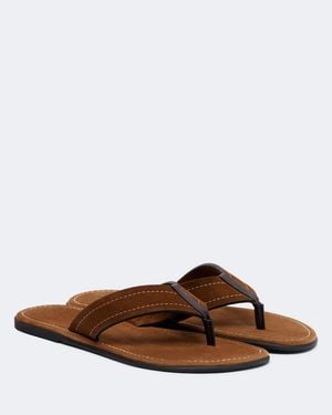 The Row Zehensandalen Beach Aus Veloursleder - Braun
